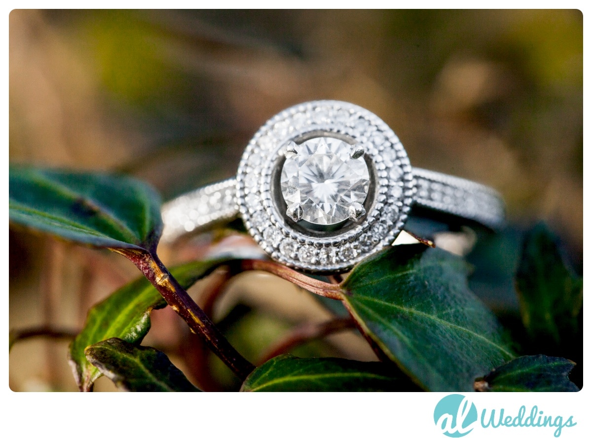 Alabama Wedding Photographer,Birmingham,Blue,Botanical Gardens,Engaged,Wedding Rings,macro,