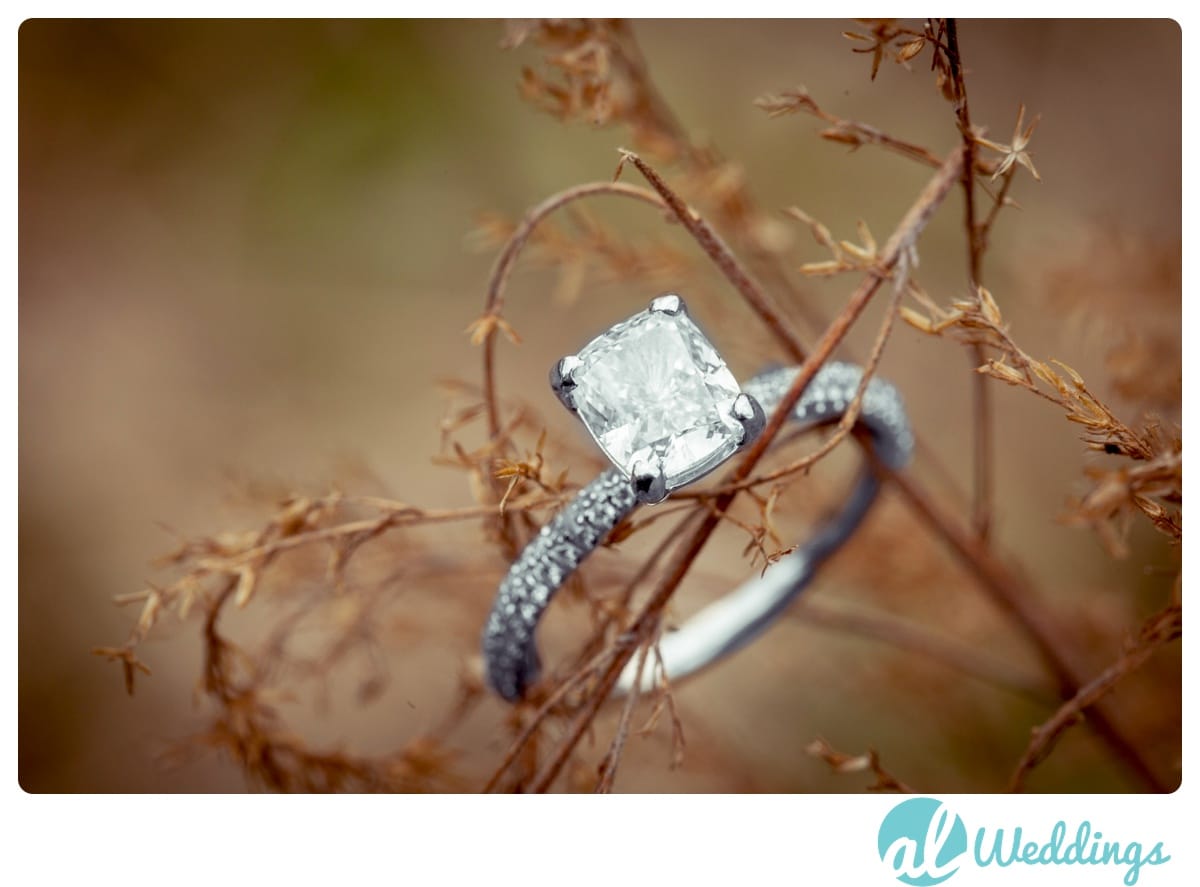 Alabama Wedding Photography,Country,Natural Light,Waterfall,Winter,engagement,ice,outdoors,snow,