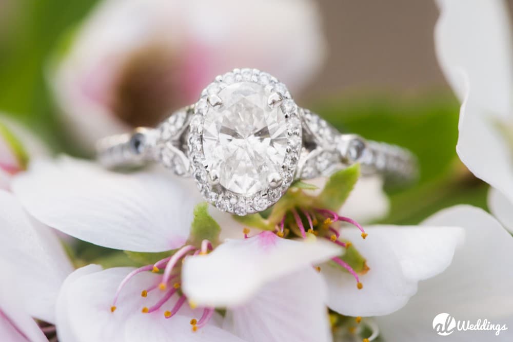 Big Spring Park Huntsville Al Engagement Photography30