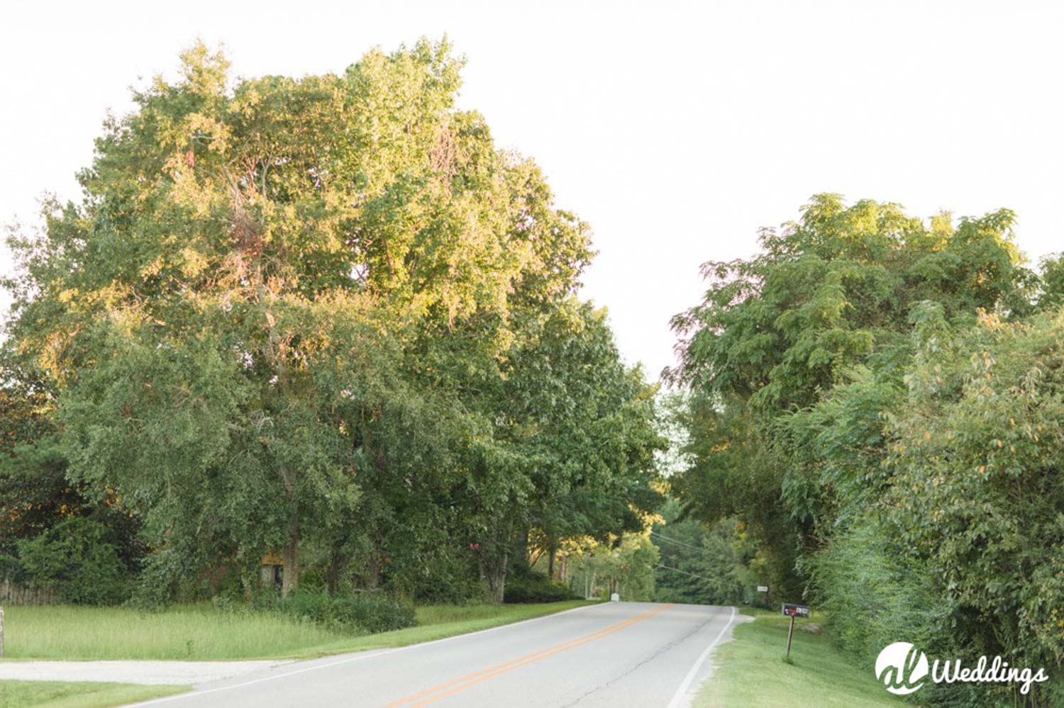 Kiesel Park Auburn Al Engagement Photography 47